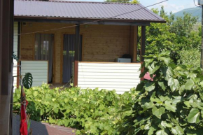 Hostel Sochi